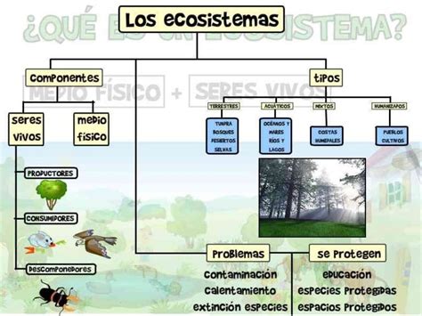 Tipos De Ecosistemas