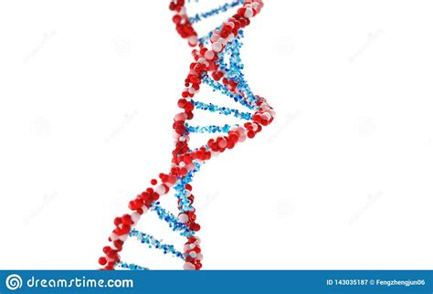 Dna Molecules Structure Of The Genetic Code 3d Renderingconceptual