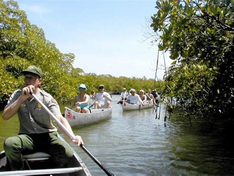 Everglades National Park Canoeing In Everglades National Park Can Be