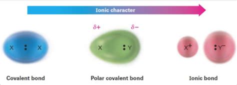 Chemistry Bonding Flashcards Quizlet