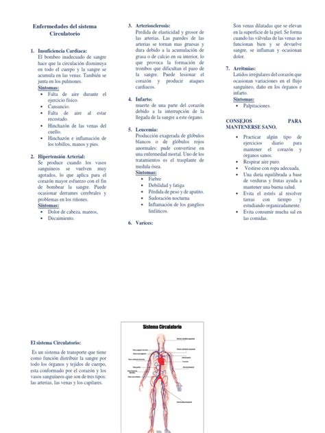 Enfermedad Del Aparato Circulatorio Y Excretor