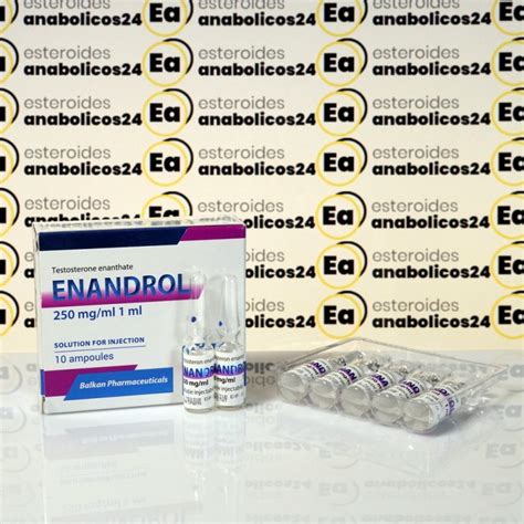 Comprar Enandrol Testosterona E 250 Mg Balkan Pharmaceuticals EA24