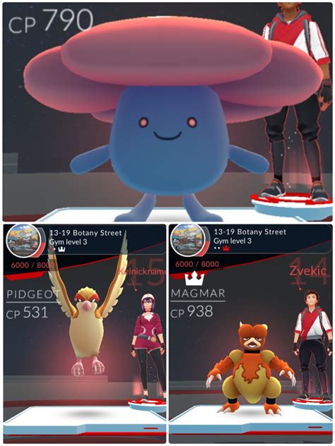 map of gyms in pokemon go 11