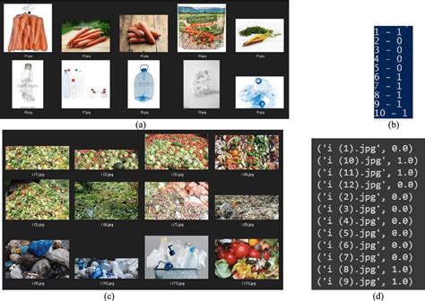 testing   proposed model  sample images  sample images