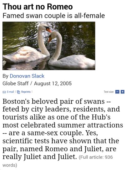 💗reblog If U Support These Lesbian Swans 💗 Tumbex