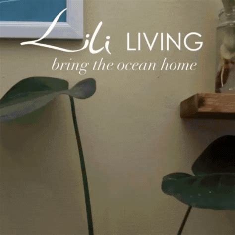 Lili Living לילי ביקיני Lili Bikini