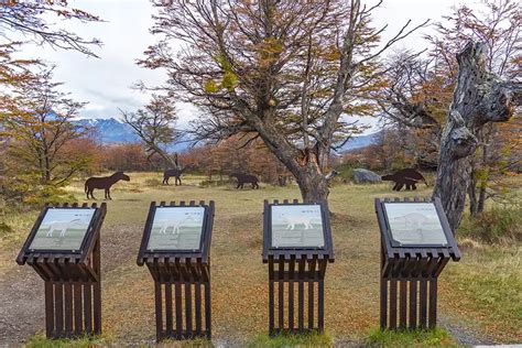 Qué ver en Puerto Natales 14 lugares imprescindibles Perder el Rumbo