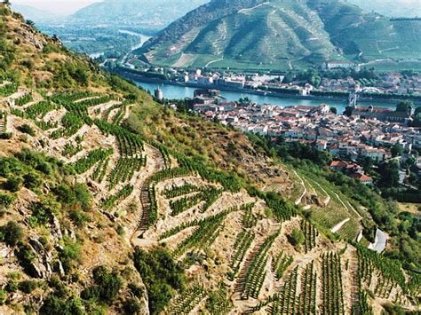 Discovering The Rhone Valley North Vs South The Wine Cellarage