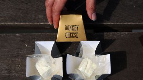 Pule Cheese: Unraveling the world's most expensive cheese | Fox News