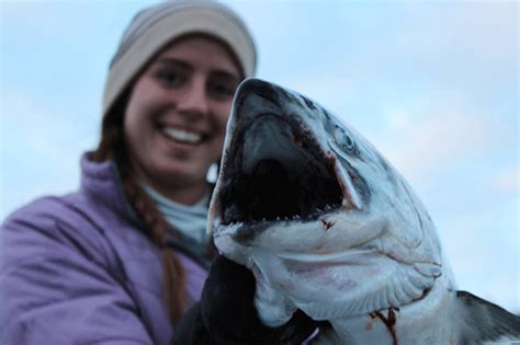 Homer Alaska Winter King Tournament | Ninilchik Charters