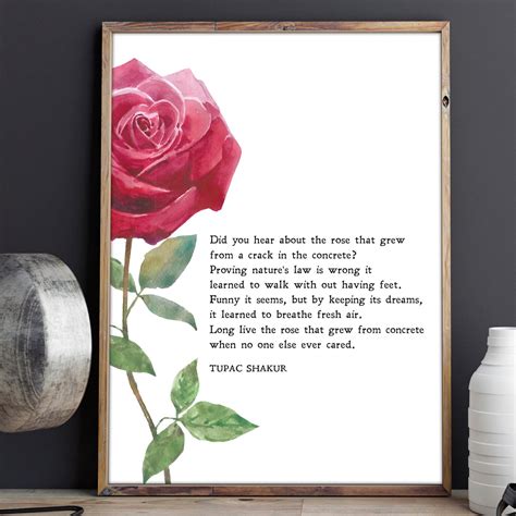 The Rose That Grew from Concrete Tupac Shakur Poem | Etsy