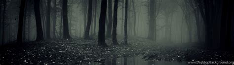 Panoramic Forest Wallpapers - Top Free Panoramic Forest Backgrounds ...