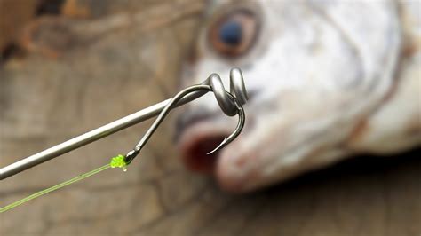 LA HERRAMIENTA MÁS EFICAZ QUE DISEÑA el PESCADOR para EXTRAER los