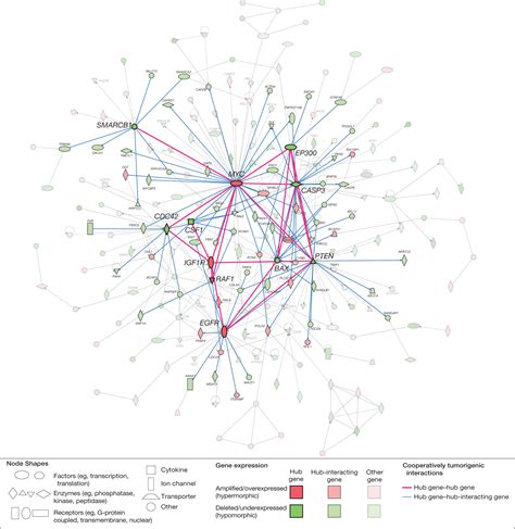 A Network Model Of A Cooperative Genetic Landscape In Brain Tumors