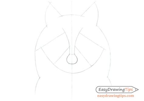 How To Draw A Raccoon Face Step By Step Easydrawingtips Face Line