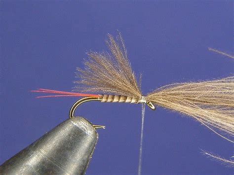 Dry fly for grayling - How to tie fly, Fly tying Step by Step Patterns & Tutorials