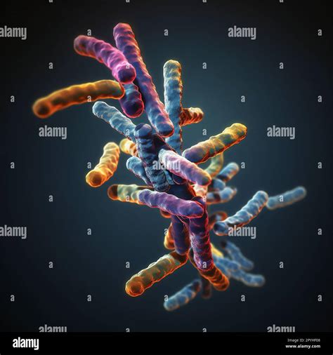 Cell Illustration Microscope Hi Res Stock Photography And Images Alamy