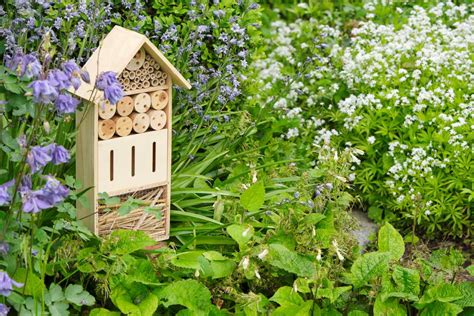 Créer un jardin écologique 10 astuces responsables