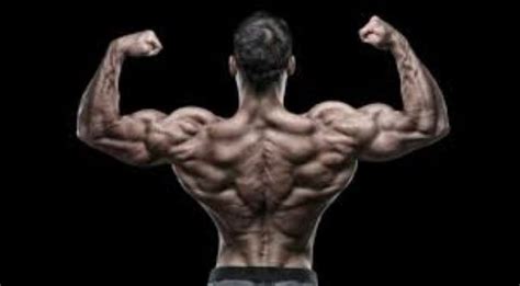 Best V Shape Back Workouts With Dumbbells Good Back Workouts Dumbbell Back Workout Back