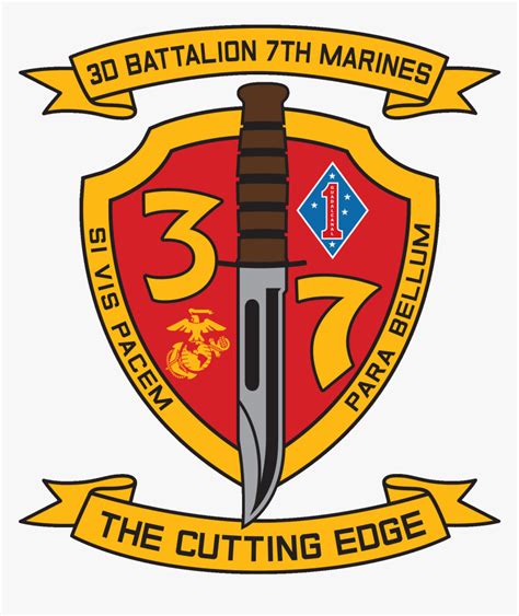 3rd Battalion 7th Marines Modern Insignia Current 1st Battalion 5th