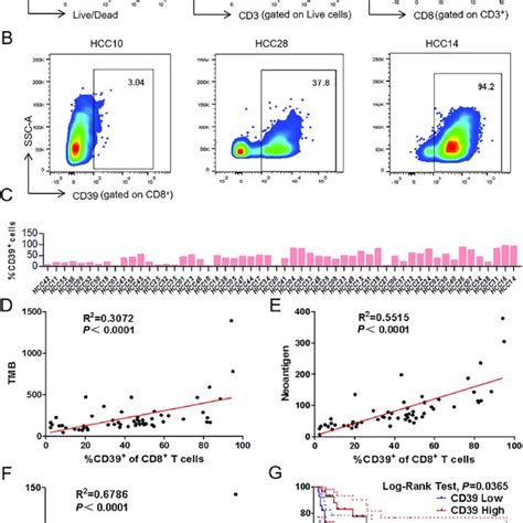 The Phenotype Analysis Of Cd Pd High Int Negative Cd Tils