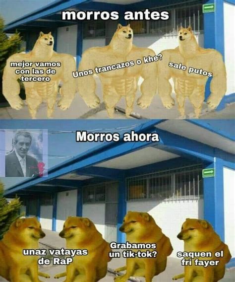 La historia detrás del meme Swole doge vs Cheems la batalla de perros