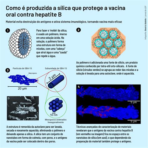 Sílica torna possível vacina oral contra hepatite B Agência USP de