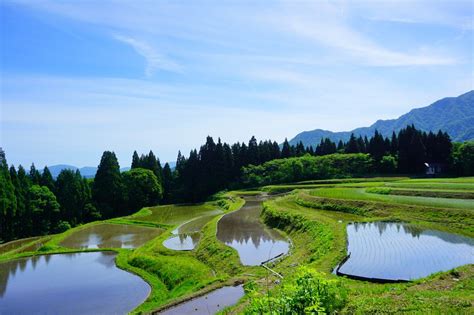 うへ山の棚田｜観光スポット｜【公式】兵庫県香美町の観光・旅行情報サイト「香美町観光ナビ」