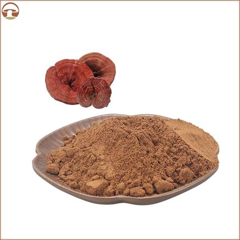 Organic Reishi Mushroom Powder Ganoderma Lucidum Mushroom Extract With