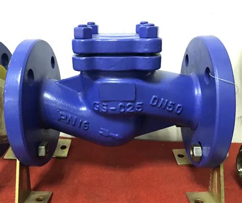 API ASME 150lb Ss Wafer Flanged Swing Lift Non Return Check Valve