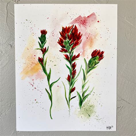 Indian Paintbrush Watercolor Print Etsy