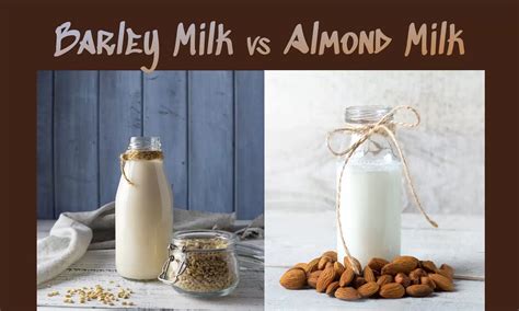 Barley Milk Vs Almond Milk The Ultimate Verdict The Coconut Mama