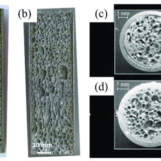 Sectional And Transversal View Of A C Ex Situ And B D In Situ Ffts