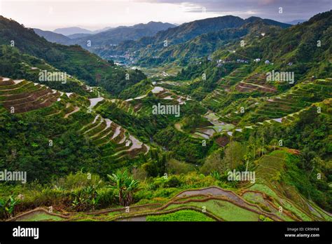 The Rice Terraces Of The Philippine Cordilleras Unesco World Heritage