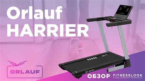 💪 Orlauf Harrier [ОБЗОР] 🔥 стоит ли покупать эту беговую дорожку - YouTube
