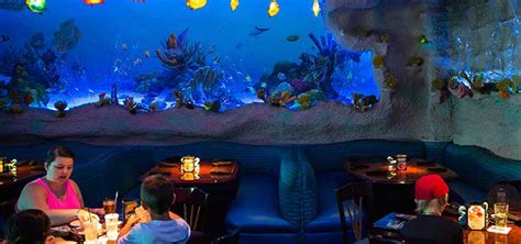 Inside Landrys Restaurant Aquariums Tropical Fish Hobbyist Magazine