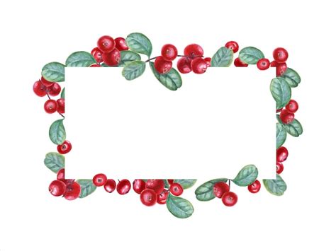 Premium Vector Cowberry Branch Red Forest Berries Horizontal Frame