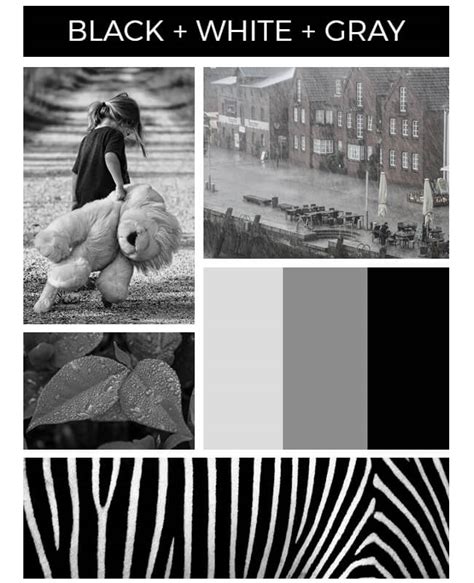 20+ Mood Board Examples: For Every Style