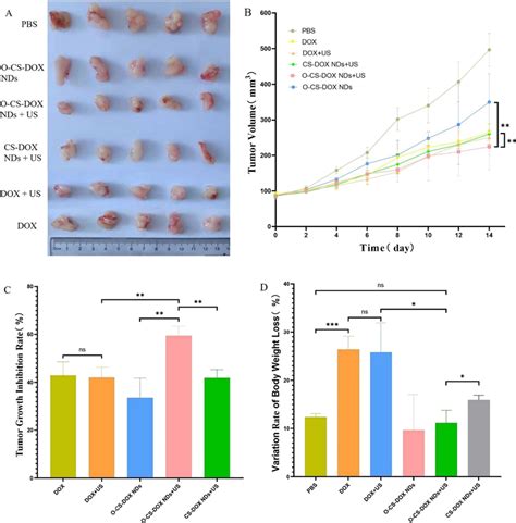 In Vivo Antitumor Effect A Photographs Of Pc 3 Tumor Tissues Collected