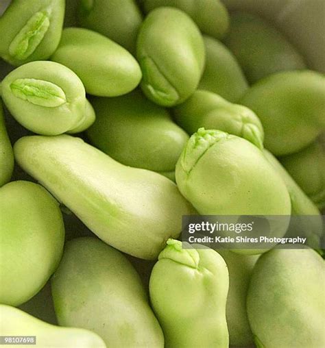 Field Beans Photos and Premium High Res Pictures - Getty Images