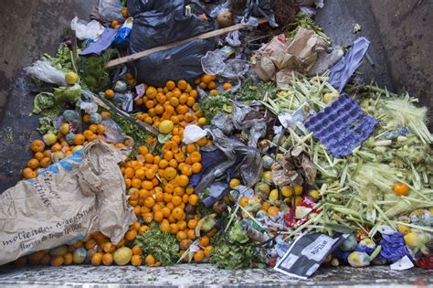 Desperdicio Alimentario Cada Año En Argentina Se Tiran 38 Kilos De