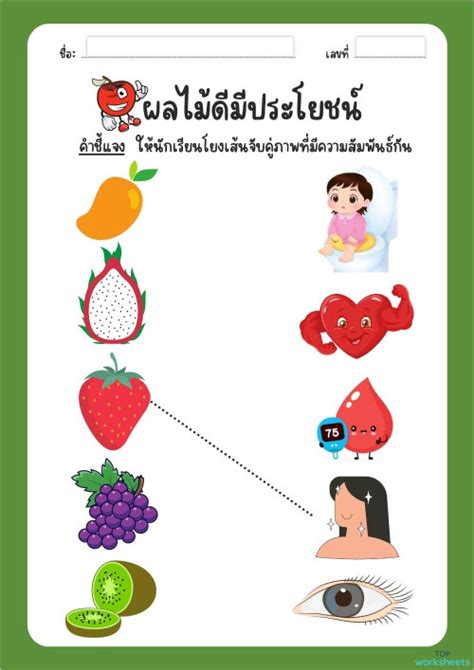 ใบงาน จับคู่ภาพที่มีความสัมพันธ์กัน ใบงานเชิงโต้ตอบ Topworksheets