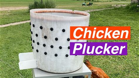 Homemade Chicken Plucker Youtube