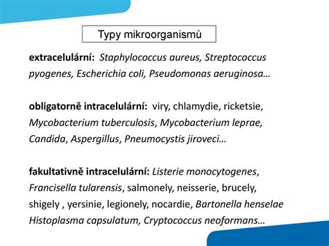 Protiinfek N Imunita Slizni N Imunita Ppt St Hnout