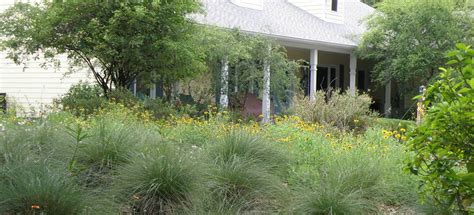 WEBINAR — Native Plants for Florida Gardens - Florida Wildflower Foundation