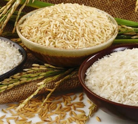 10 Amazing Facts About Rice A Staple Across The Globe