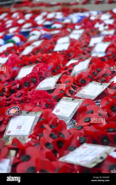 Ww1 Remembrance Hi Res Stock Photography And Images Alamy