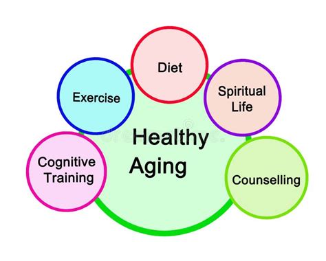 Pathways To Healthy Aging Stock Illustration Illustration Of Healthy