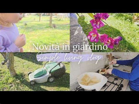 Casa Con Giardino Grigliata Amici Frittelle Haul Vestiti Nuovi