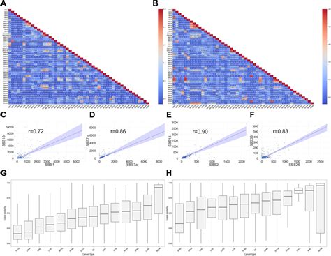 Comprehensive Cross Cancer Analyses Reveal Mutational Signature Cancer